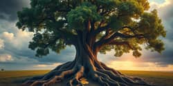 The Investor's Manifesto: Principles for Enduring Success