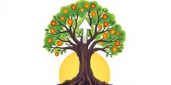 The Power of Simplicity: Fundamental Investing Principles